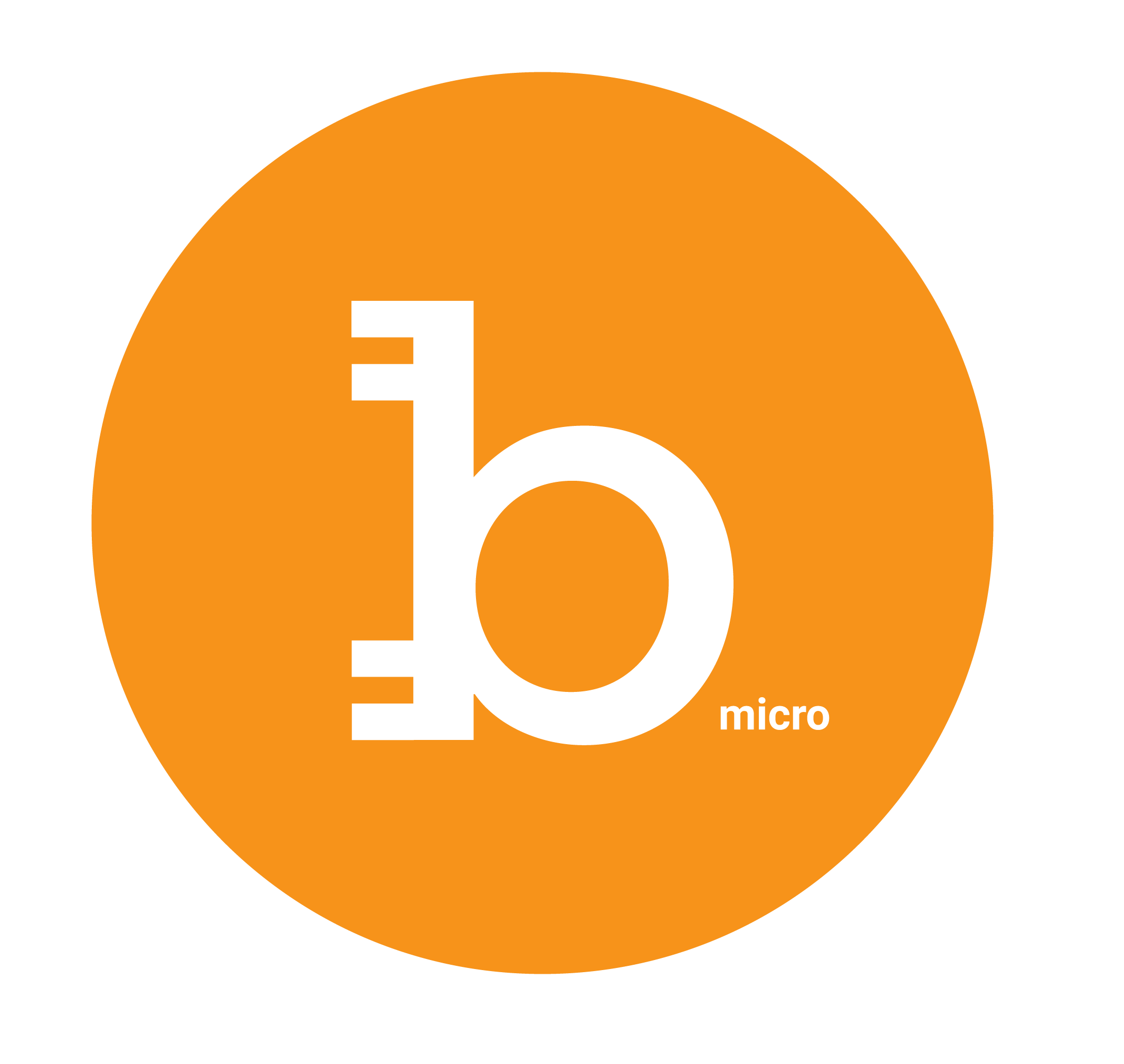 BitcoinMicro Logo